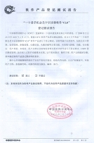 软件测试报告