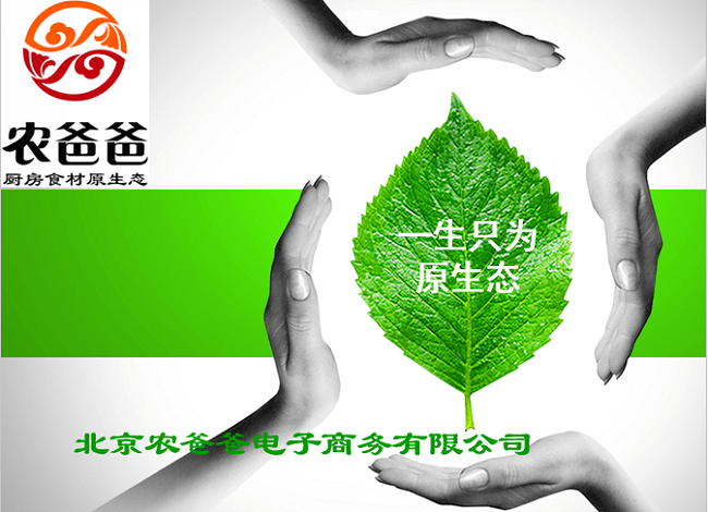 会员管理系统